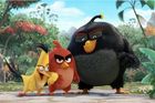 Recenze: Angry Birds ve filmu