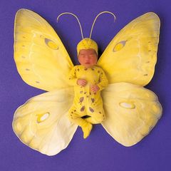 Anne Geddes, motýl, otvírací