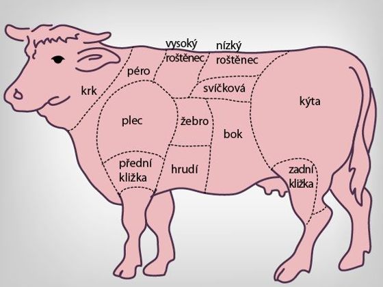 Aféra s polským hovězím na Aktuálně.cz hovězí