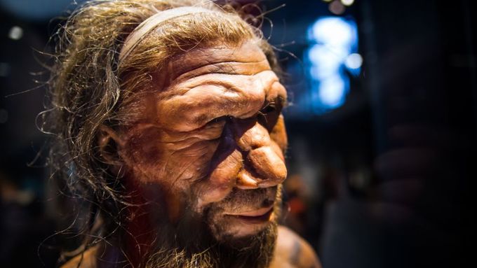 Evropané mají s neandertálci společná dvě procenta genů. Ten, díky kterému je dnes naše obranyschopnost silnější, ovlivňuje schopnost těla přetvářet tuk z potravy.