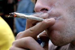 Pražští policisté na konopném festivalu zajistili skoro kilogram marihuany. Zadrželi 35 lidí