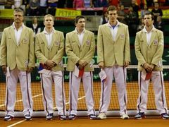 Český tým ve finále Davis Cupu