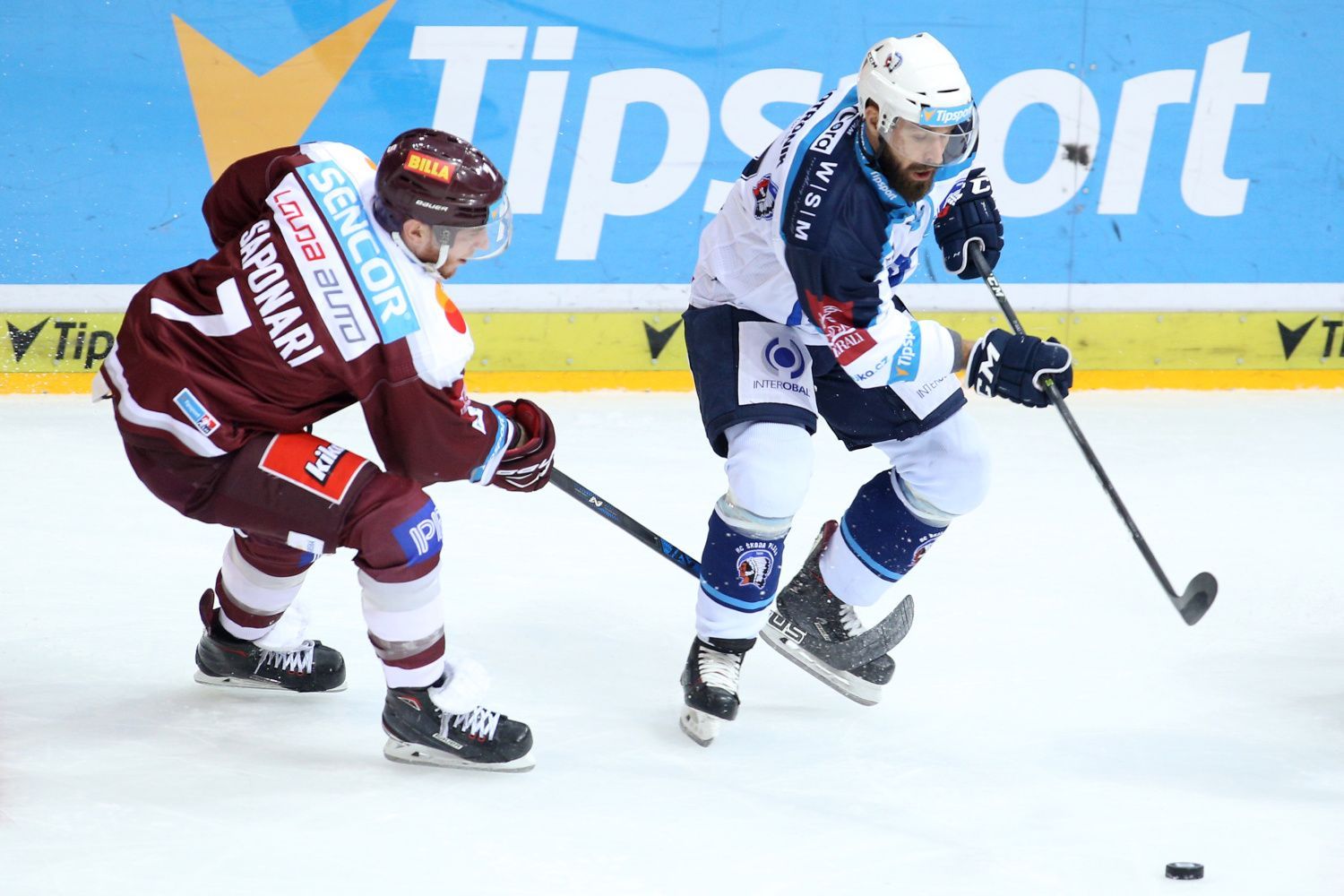 ELH, Sparta-Plzeň: Vinny Saponari - Milan Gulaš