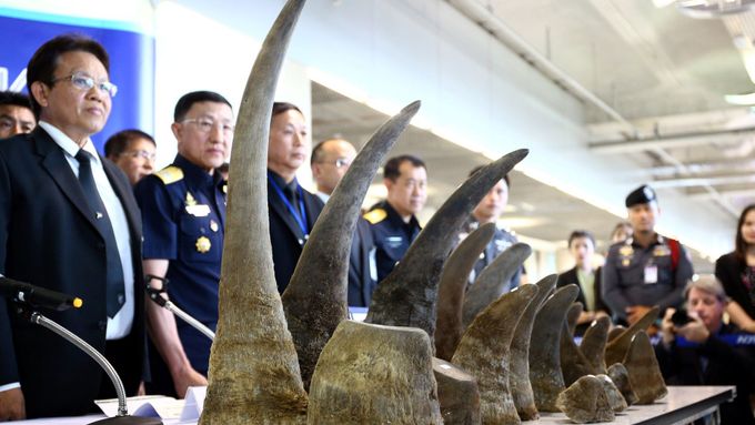 Nosorožčí rohy zabavené na letišti v Bangkoku.