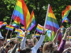 SaS podporuje registrované partnerství, adopce dětí homosexuálními páry však odmítá.