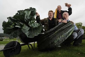 Přerostlí zeleninoví giganti na podzimním festivalu v Harrogate