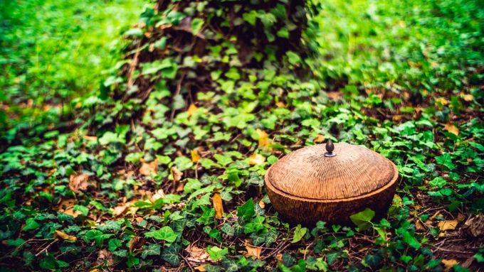 V Lese vzpomínek se dá pohřbít do ekologické urny i mimo ni.