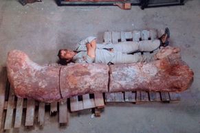 FOTO Vědci našli největšího dinosaura na světě