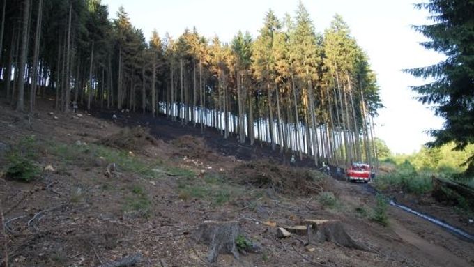 Horka a sucho vyvolaly lesní požáry na Náchodsku a Rychnovsku