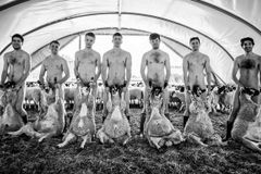 Studenti zvěrolékařství si pořídili nahé fotky s ovcemi. Vegani je tvrdě odsoudili
