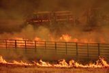Plameny právě ohrožují okolo sedmi stovek budov na severu Kalifornie, píše americká televize Fox News.