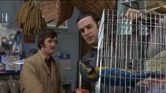 Monty Python: Mrtvý papoušek. Podívejte se na jednu z legendárních scének.