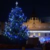 Vánoční stromy - Havlíčkův Brod