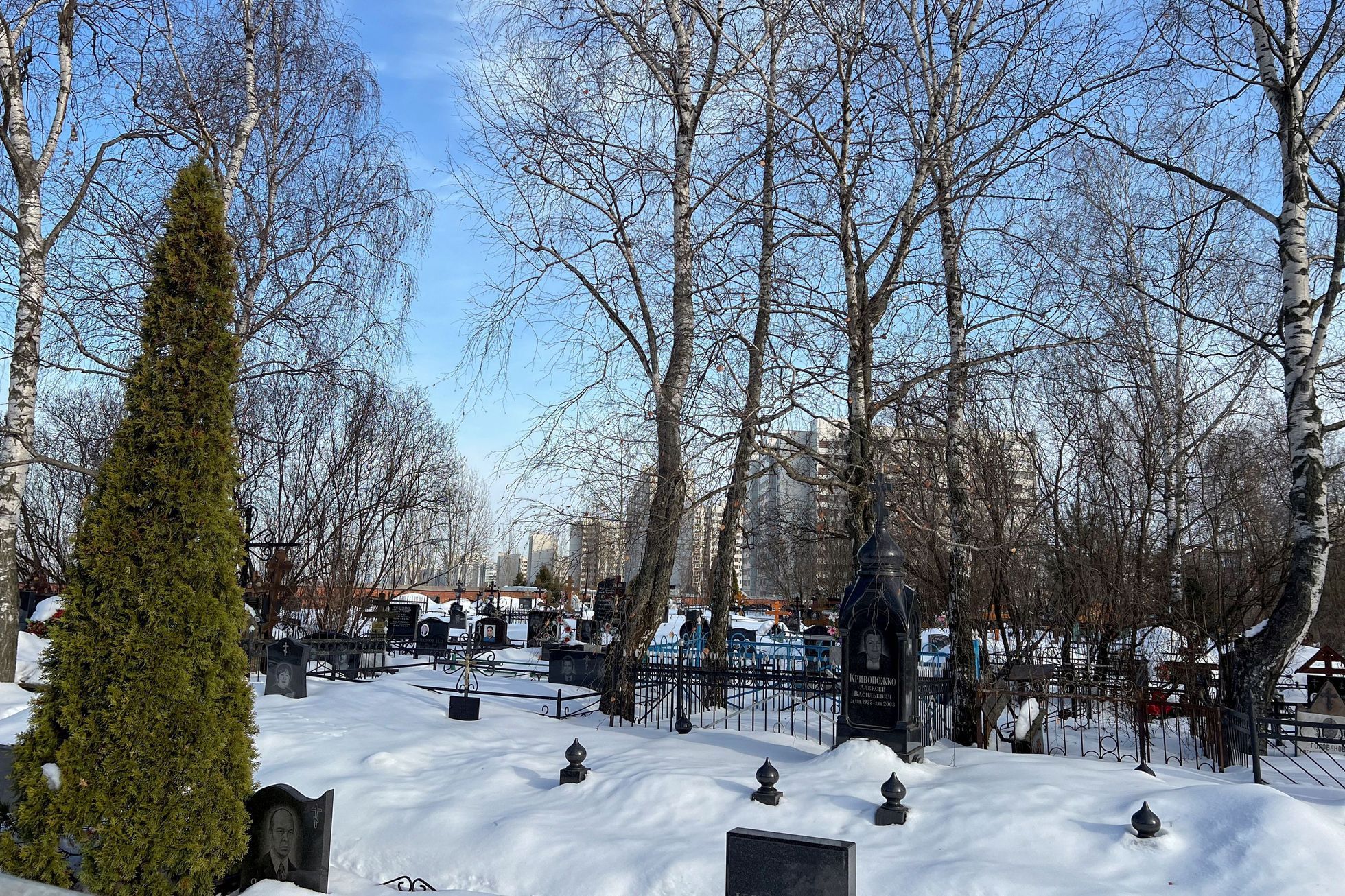 Borisovský hřbitov, Rusko, Navalnyj