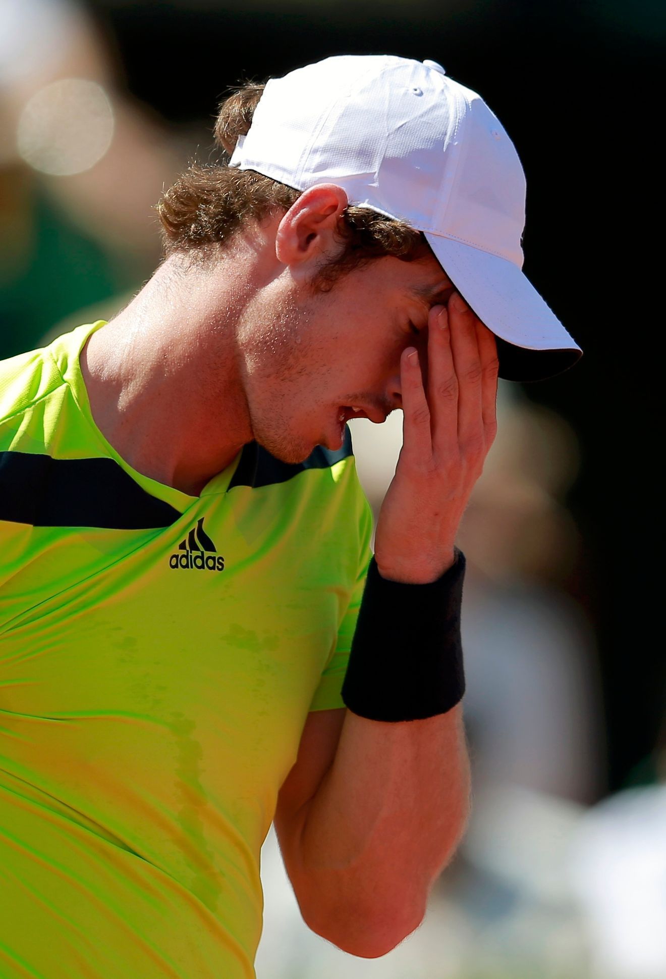 Andy Murray na French Open 2014