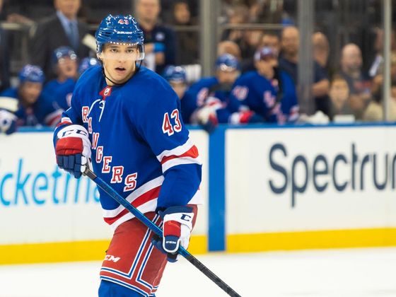 Česká obrana v NHL NHL 2019/2020, New York Rangers, Libor Hájek