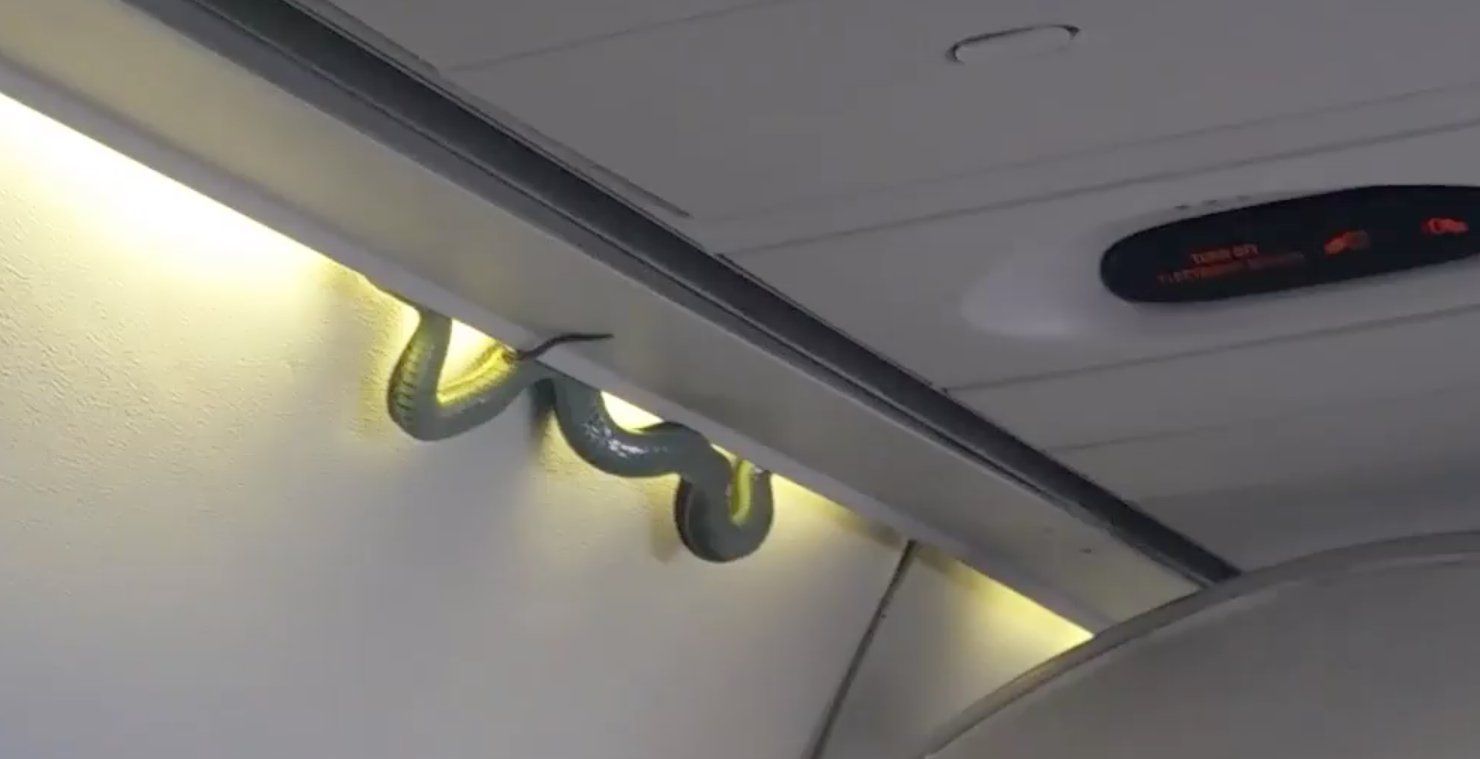 Had v letadle
