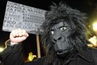 Spis Gorila je "do značné míry" pravý, potvrdila policie