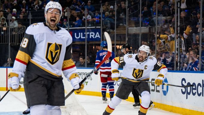 Tomáš Hertl slaví gól.