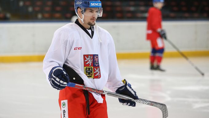 Petr Holík narychlo přiletí do Paříže a znovu se připojí ke kádru hokejové reprezentace, zranění klíční kosti totiž doma vyléčil.