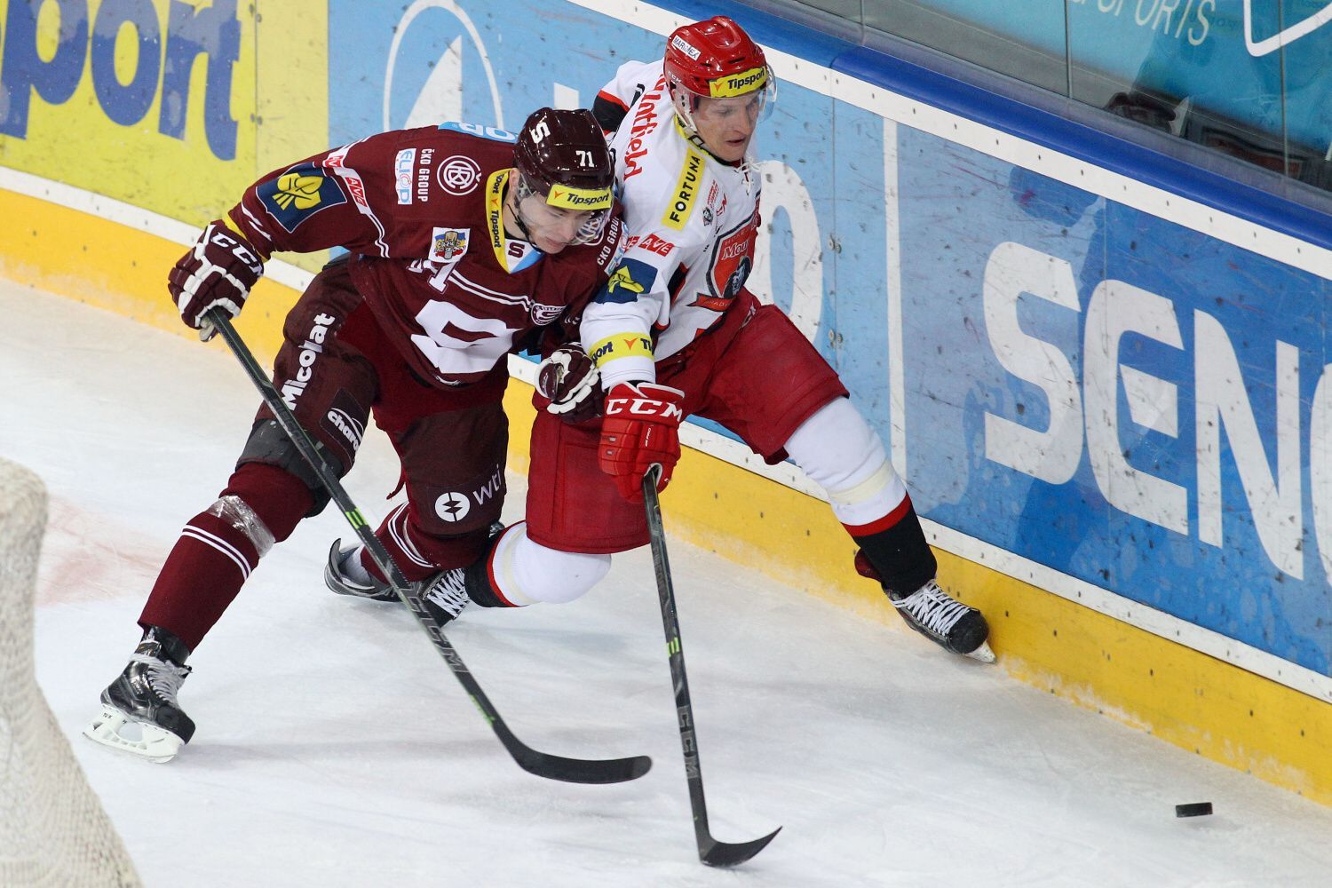 ELH, Sparta-HK: Marek Ďaloga - Tomáš Mertl