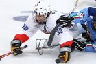 Čeští sledge hokejisté v přípravě podlehli Rusku
