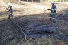 Jihomoravští hasiči bojují se suchem, od rána 16 požárů