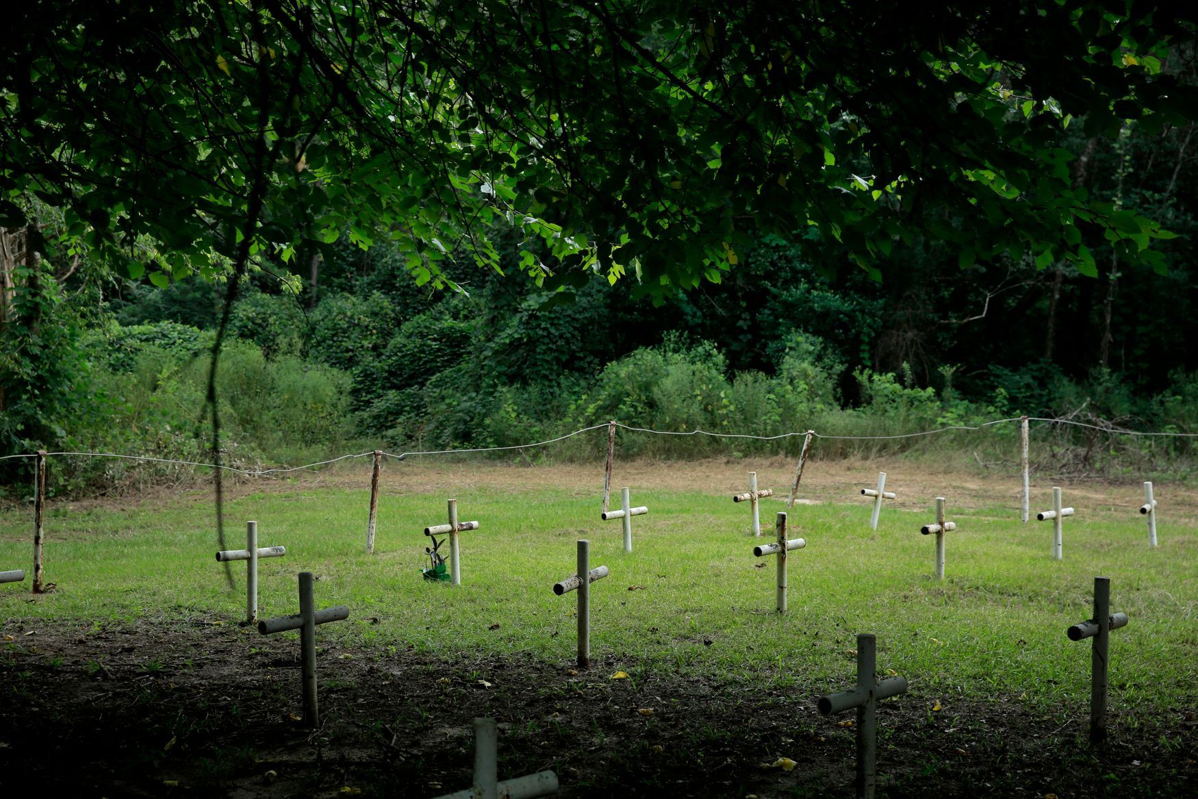 Hroby chlapců zavražděných dozorci Dozierovy chlapecké školy
