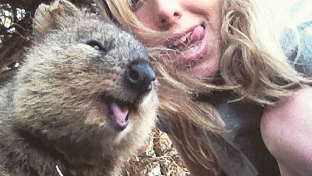 GALERIE: Nejlepší zvířata na selfie