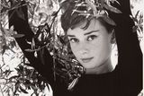 Audrey Hepburnová, 1955.