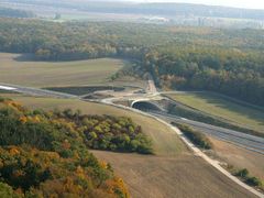 Zelený most na 52. kilometru dálnice D11 ve směru na Hradec Králové.