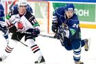 Petružálek nastoupí do Utkání hvězd KHL v druhé formaci