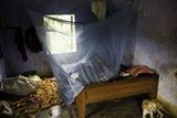 Žena spící pod moskytiérou impregnovanou insekticidem s dlouhodobým účinkem. Provincie Nha Trang, Vietnam.
