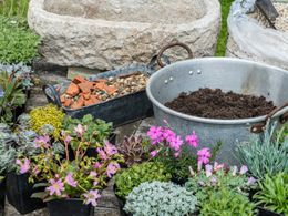 Praktický návod, jak správně osázet kamenné koryto na zahradě