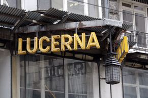 Lucerna ošuntělá, ale stále krásná