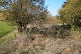 Na prodej je také pozemek na okraji lesa v Budyni nad Ohří na Litoměřicku o rozloze tisíc metrů čtverečních. Ministerstvo za něj chce 227 500 korun.