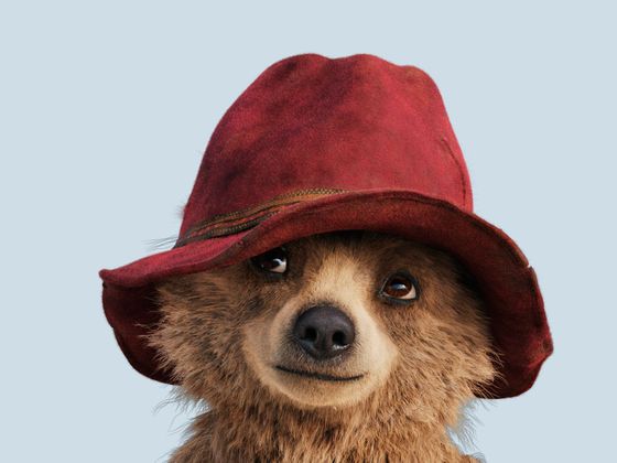 Paddington (75%) Paddington