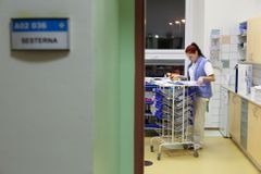 Většina studentů zdravotnických škol chce po absolvování zůstat v Česku, ukázal průzkum