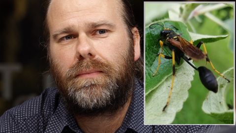 Invazní druhy jsou obrovský problém, klimatická změna jim pomáhá, říká entomolog