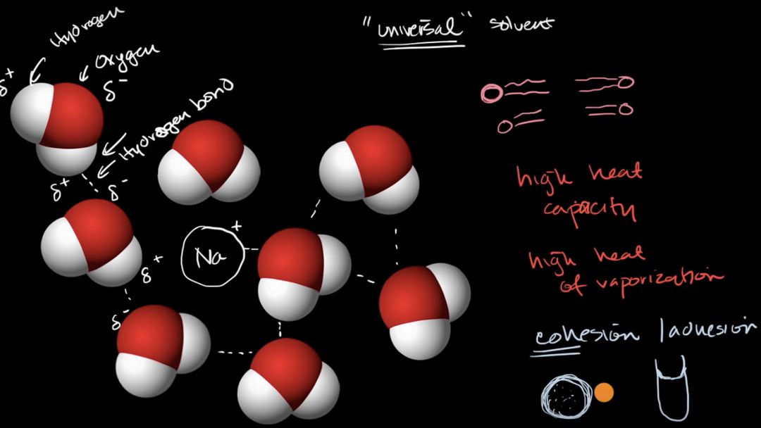 Khan Academy - video