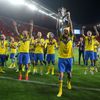 ME 21 finále, Portugalsko-Švédsko: švédské oslavy titulu