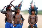 Amazonští indiáni zachránili ztroskotané letadlo