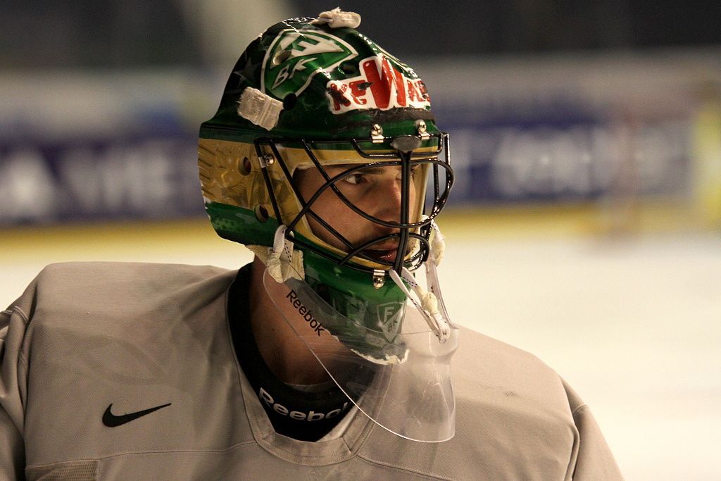 Hokej, MS 2013, český trénink
