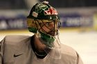 VIDEO Salákův tygří skok byl vyhlášen zákrokem týdne KHL