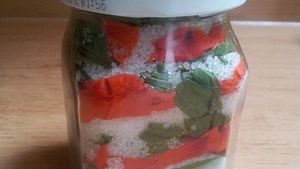 Sirup na kašel (recept od Gabriely)