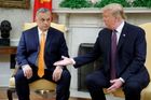 Jste tvrdý a uznávaný politik, řekl Trump Orbánovi. Pochválil ho za postoj k migraci