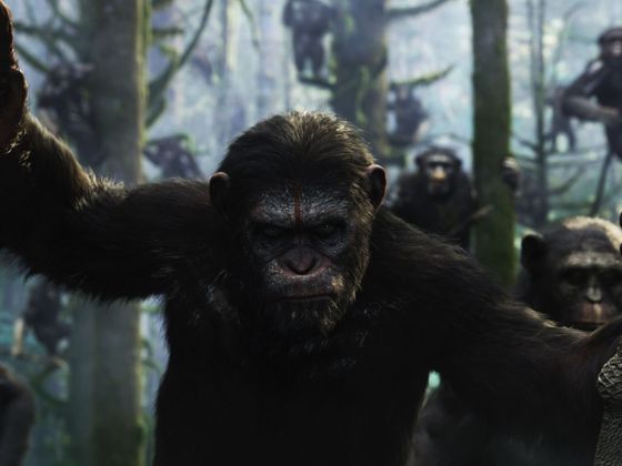 Úsvit planety opic (50 %) Úsvit planety opic Dawn of the Planet of the Apes