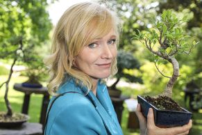 Foto: Pražská botanická zahrada vystavuje nejkrásnější bonsaje v Česku. Podívejte se