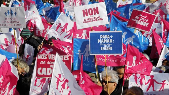 Návrh zákona o sňatcích homosexuálních párů vyvolal ve Francii masivní demonstrace. Dolní komora parlamentu ho schválila 12. února.