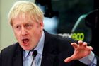 Boris Johnson musí před soud, podle obvinění lhal během kampaně za brexit